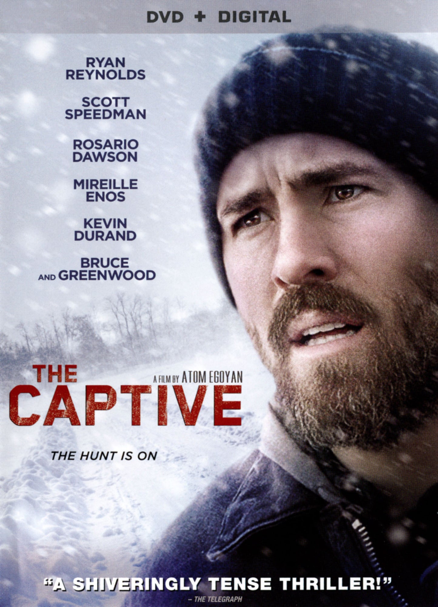 Captive cover art