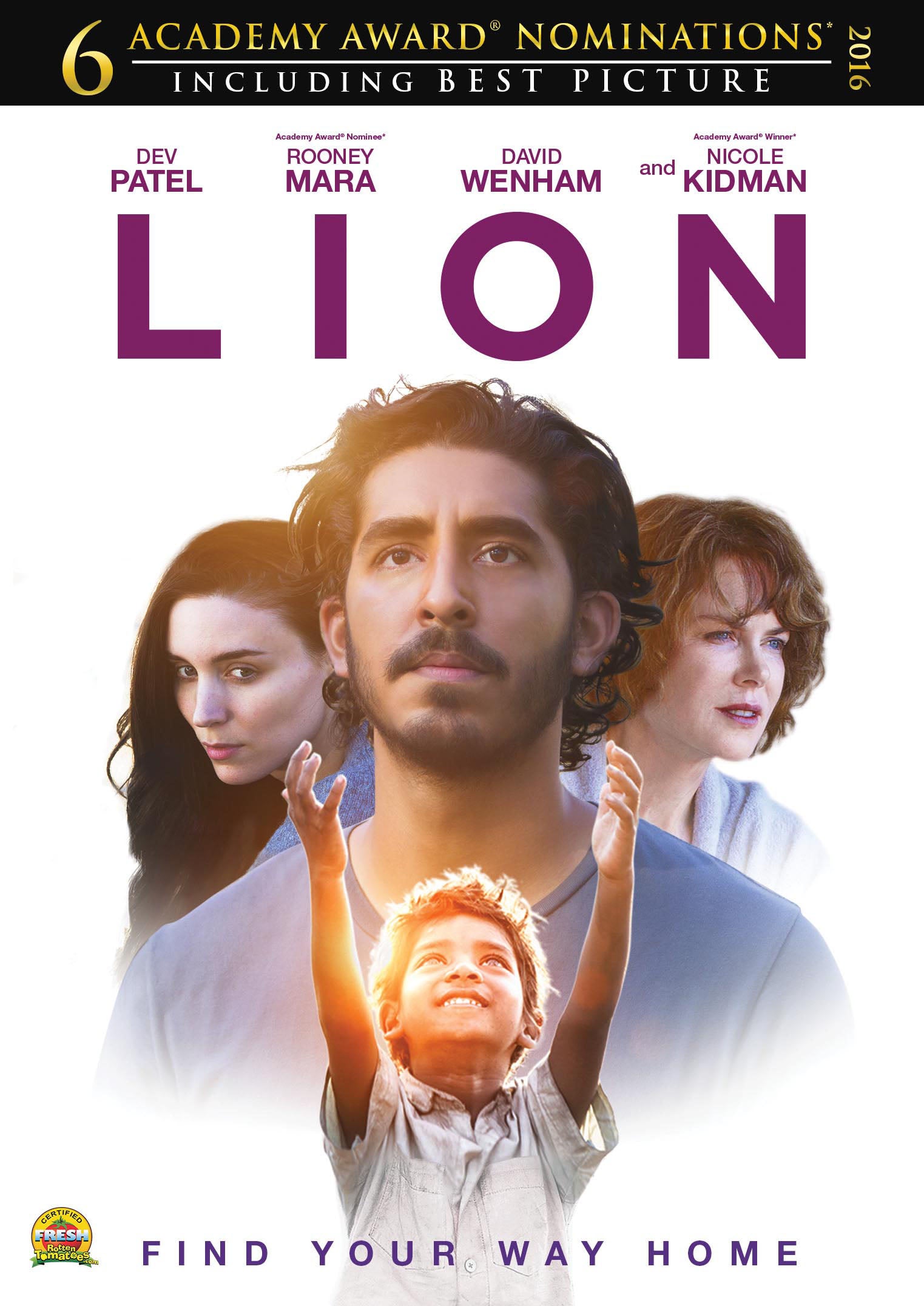 Lion cover art