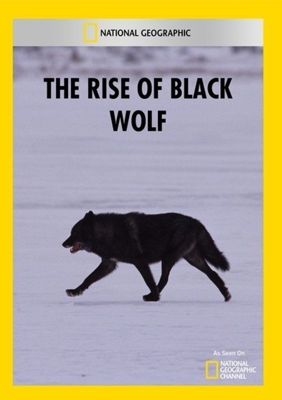 Rise of Black Wolf cover art