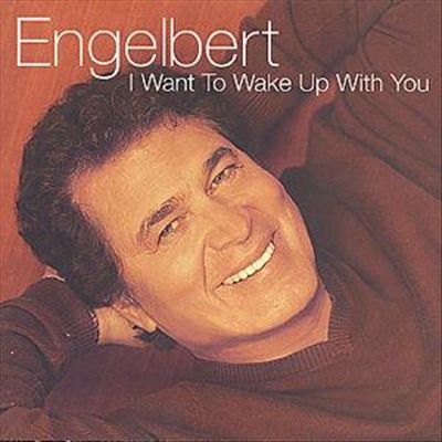I Want to Wake Up with You cover art