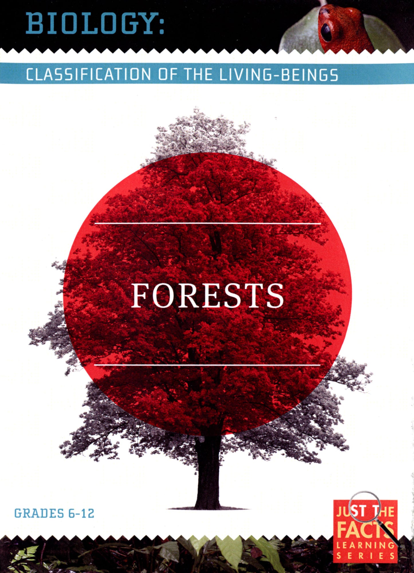 Biology Classification: Forests cover art