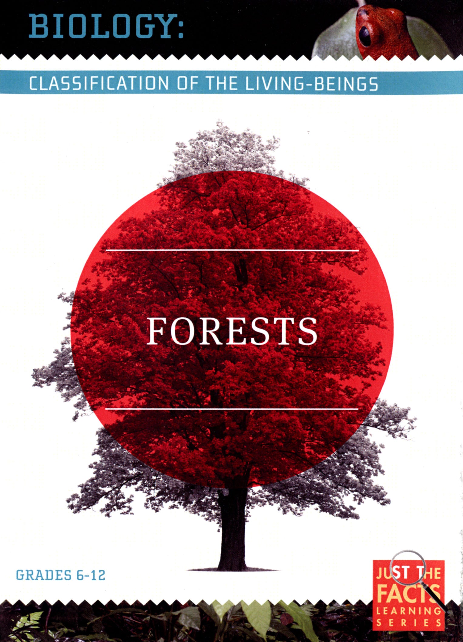 Biology Classification: Forests cover art