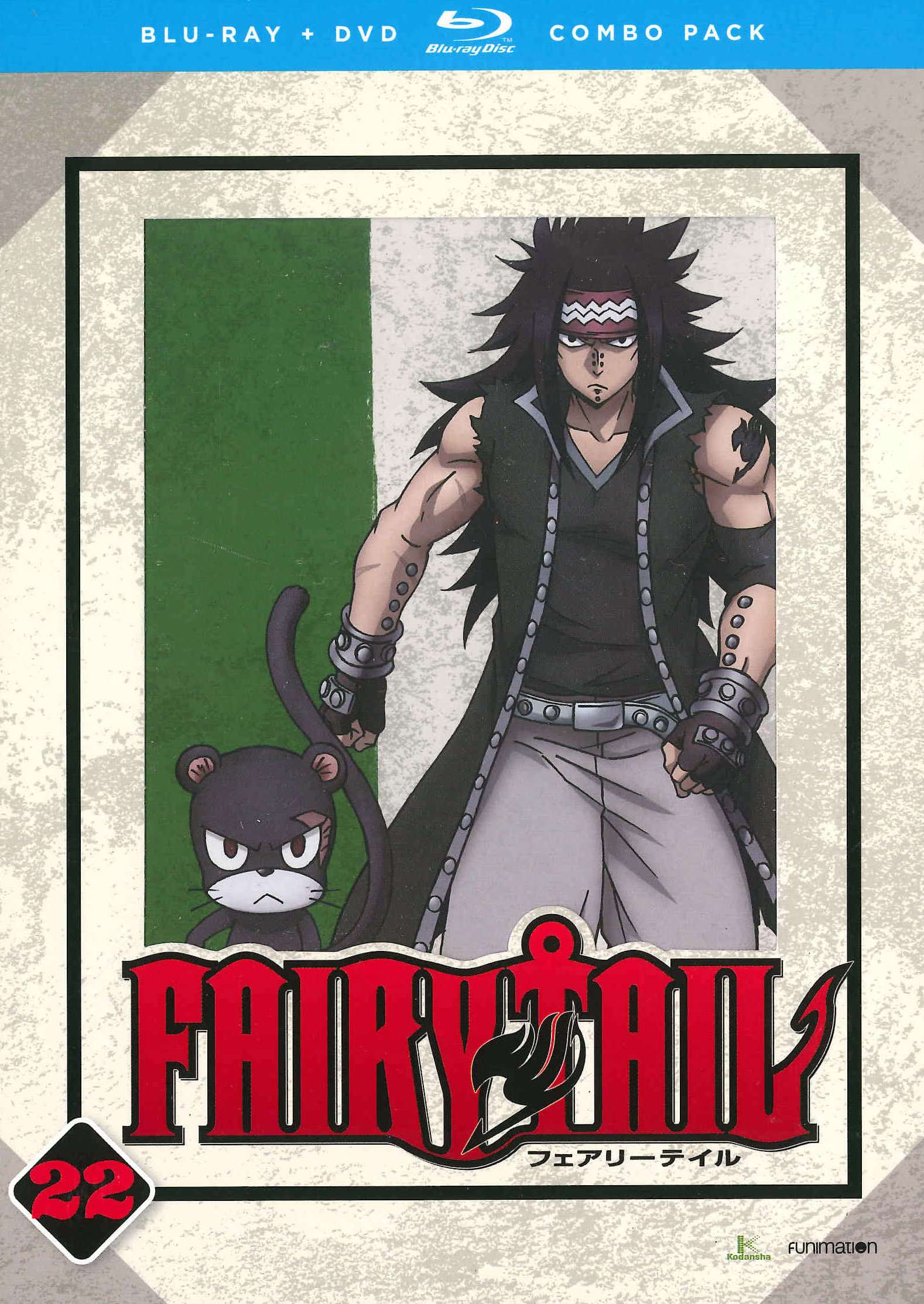 Fairy Tail: Part 22 cover art