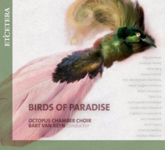 BIRDS OF PARADISE cover art