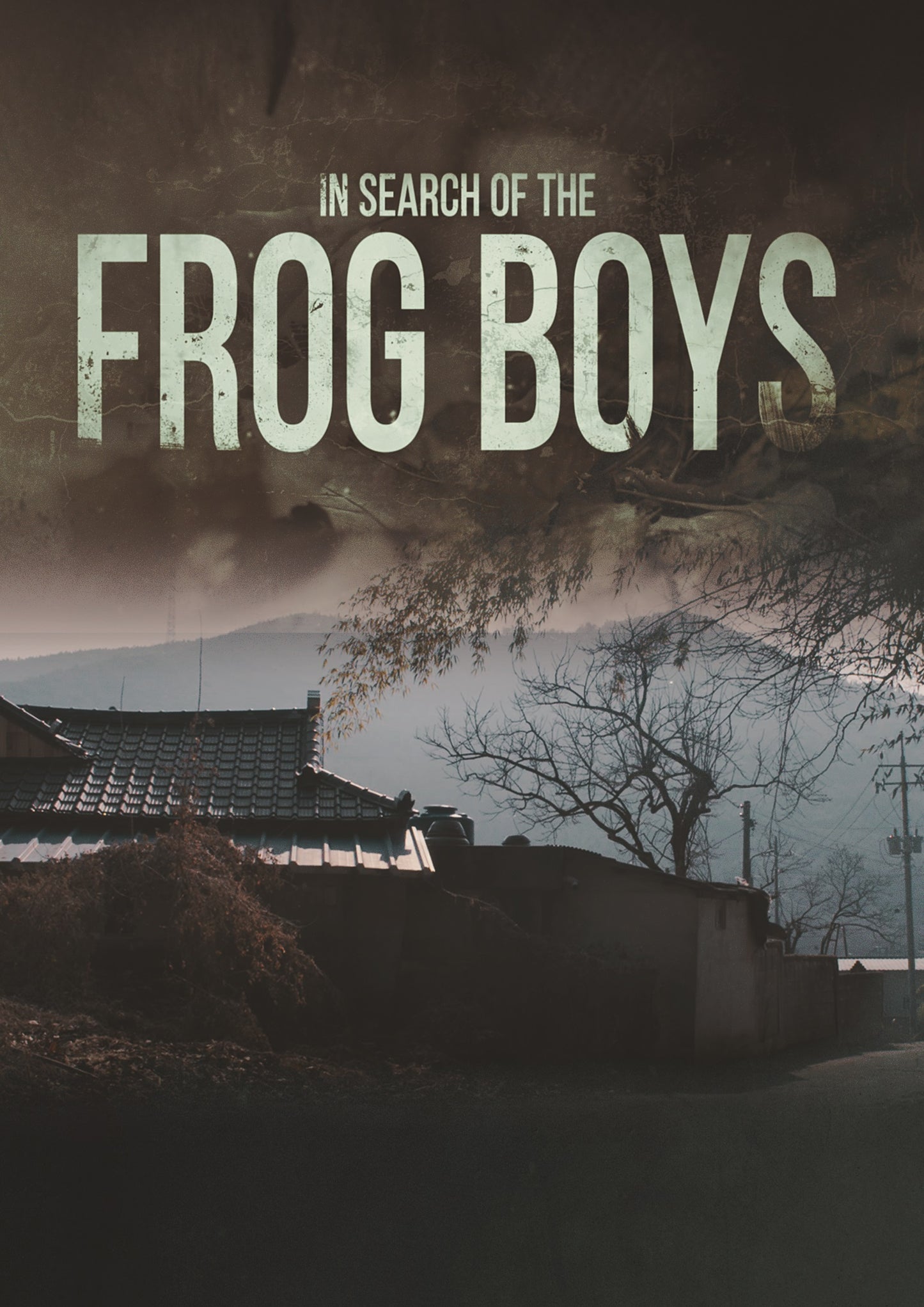 In Search of the Frog Boys cover art