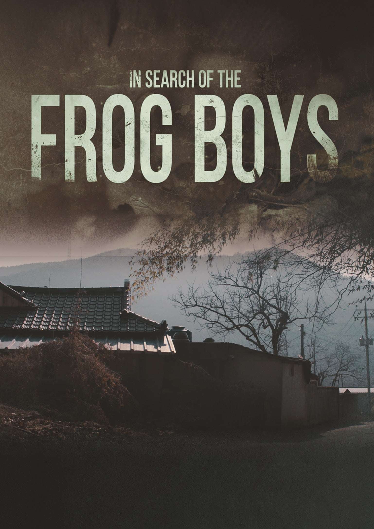 In Search of the Frog Boys cover art