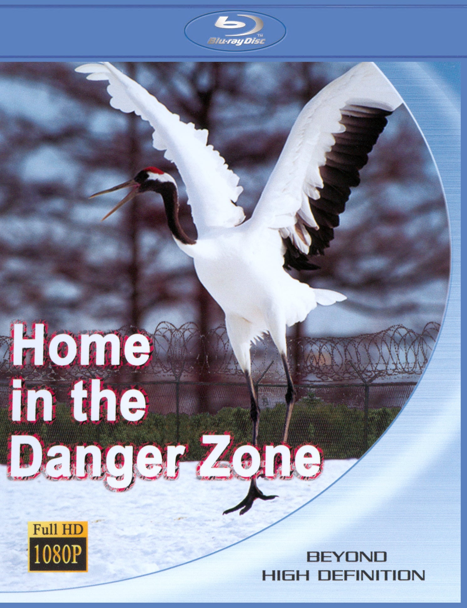 Home in the Danger Zone [Blu-ray] cover art