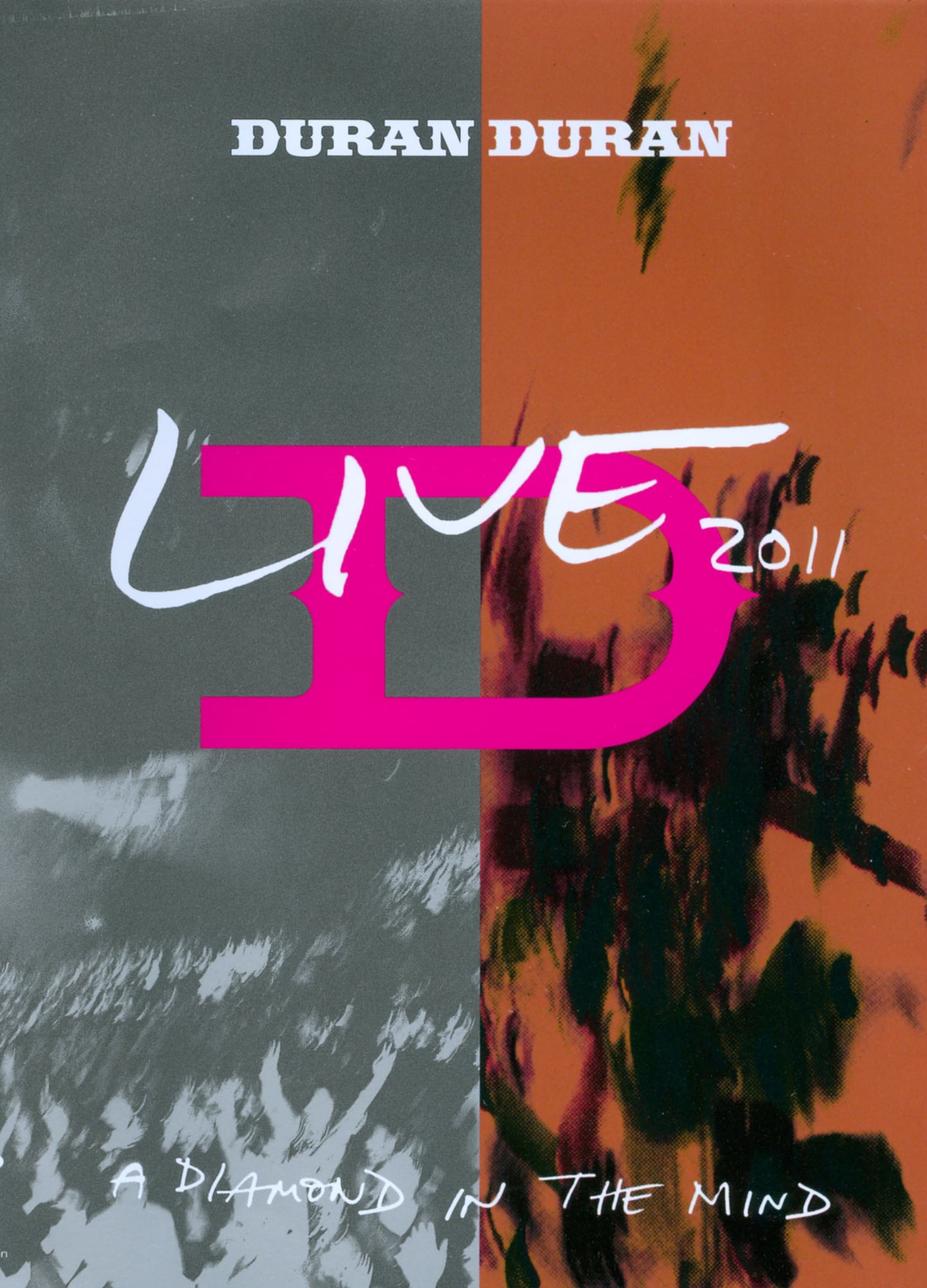 Diamond in the Mind: Live 2011 [Video] cover art