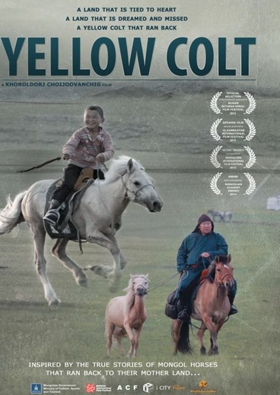 Yellow Colt cover art