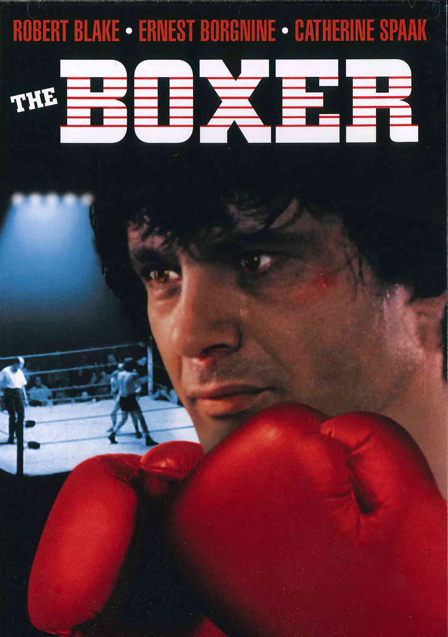 Boxer cover art