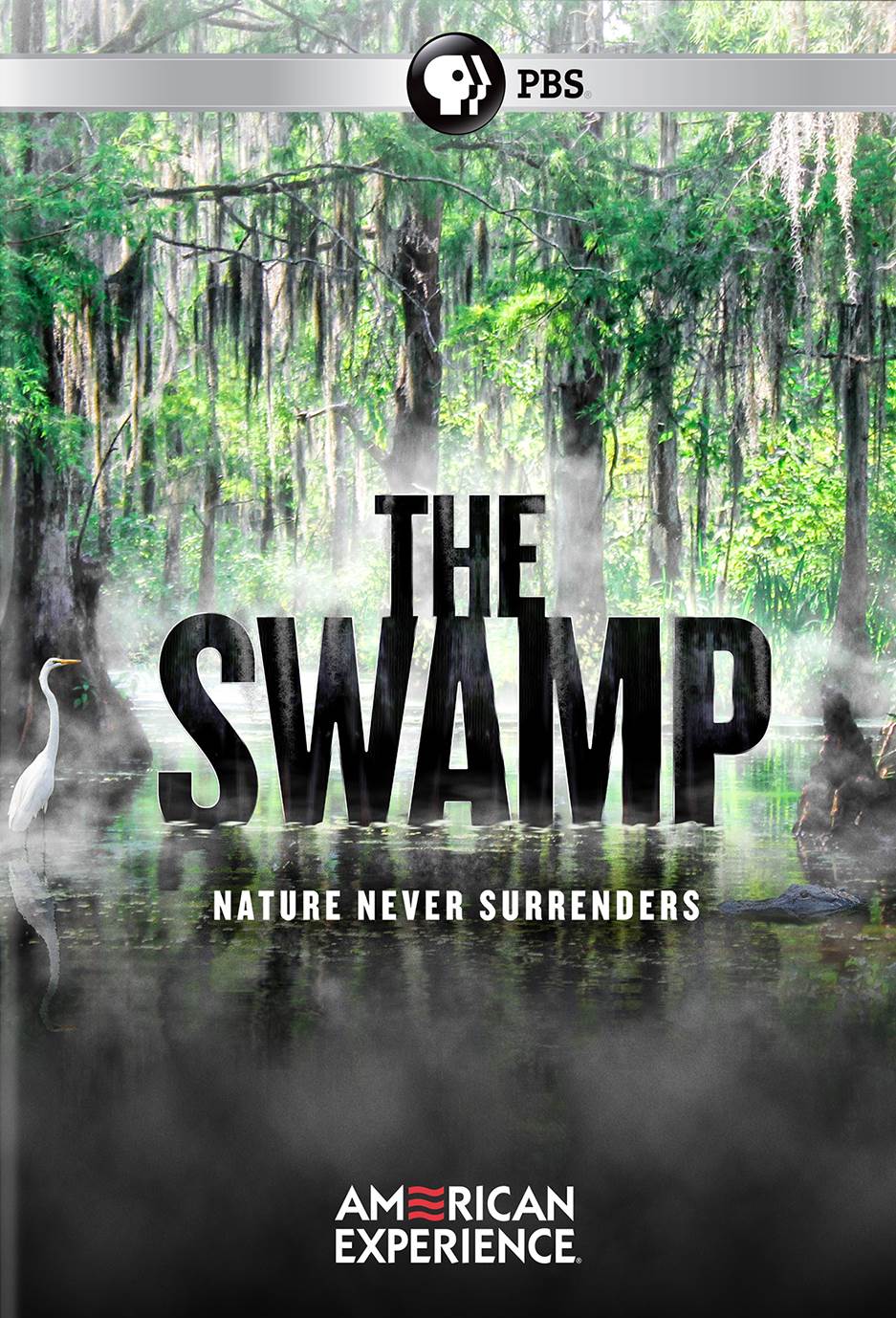 American Experience: The Swamp cover art