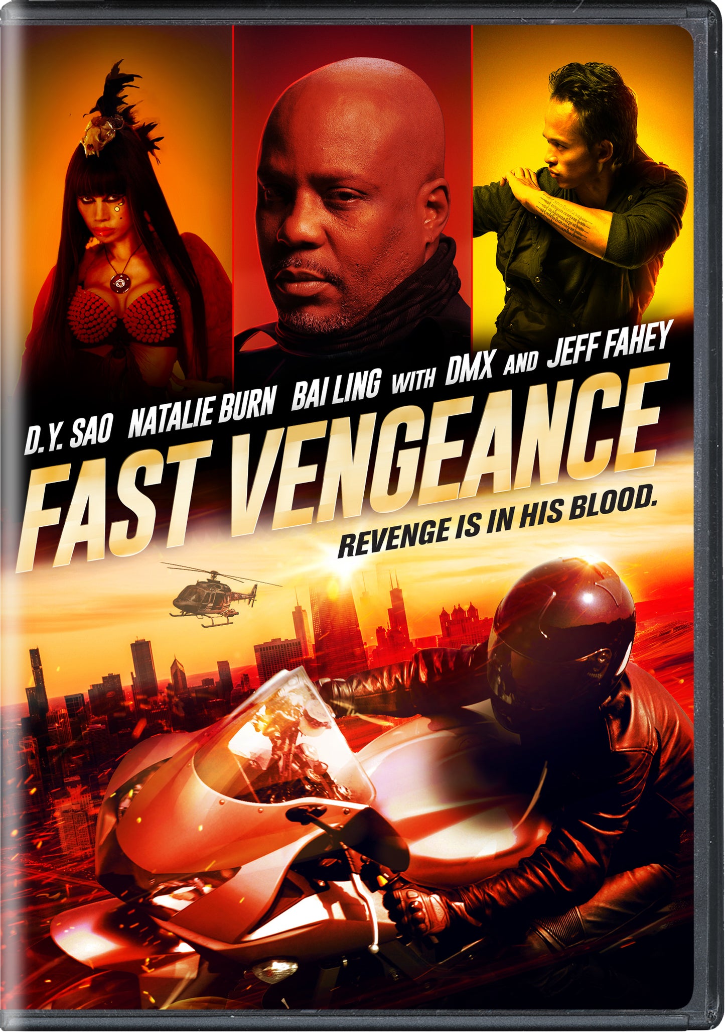 Fast Vengeance cover art
