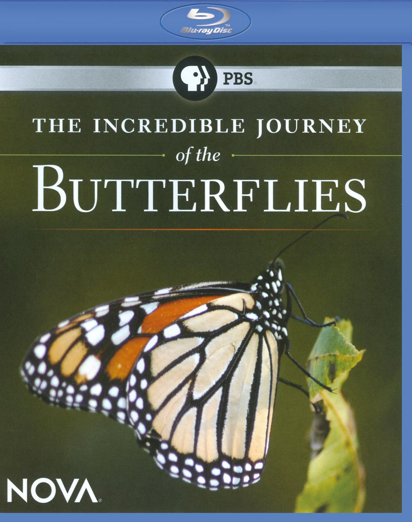 NOVA: The Incredible Journey of the Butterflies [Blu-ray] cover art