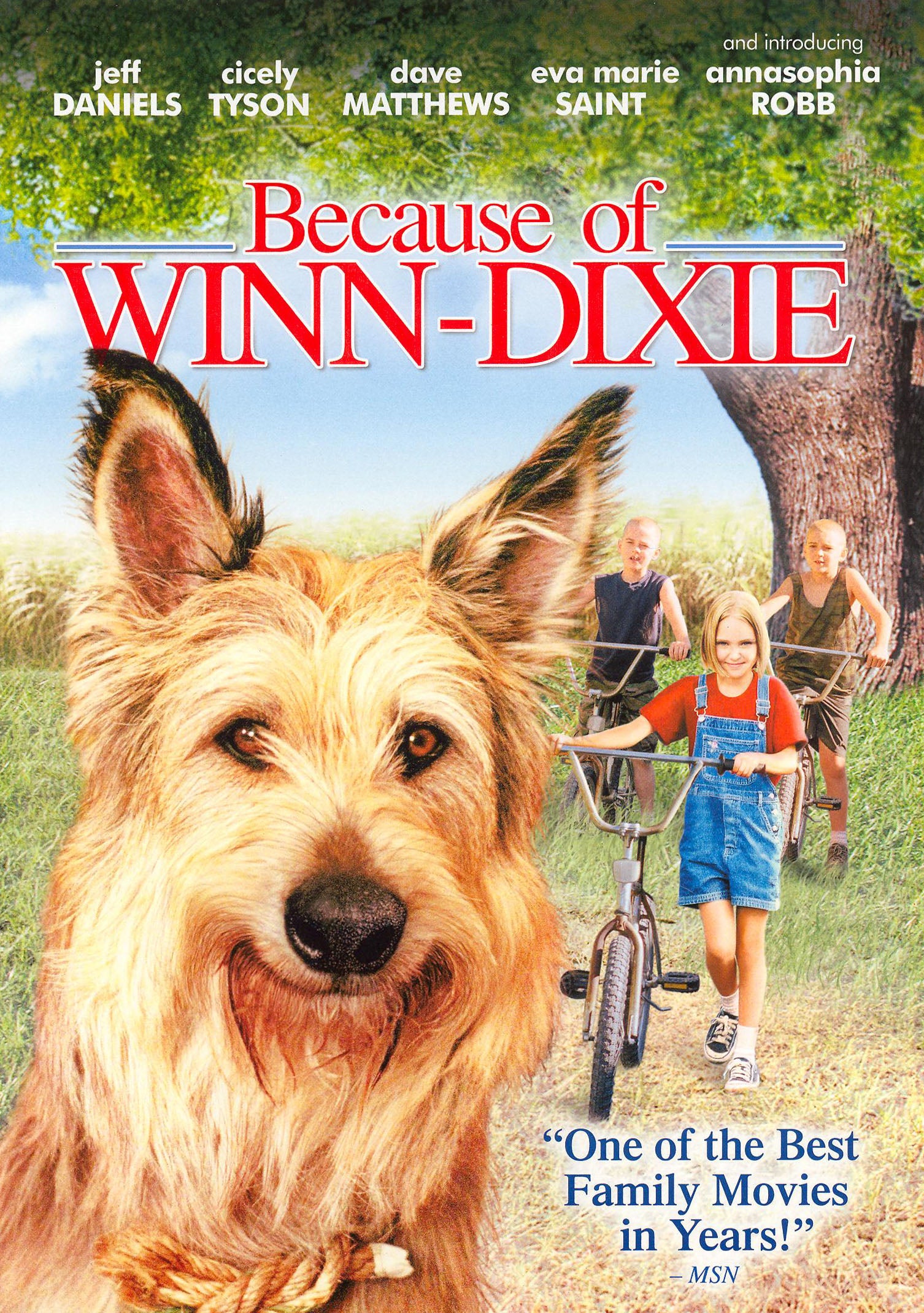 Because of Winn-Dixie cover art