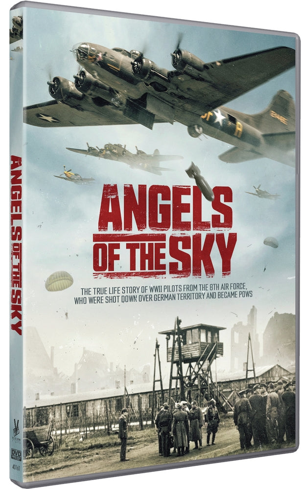Angels of the Sky cover art
