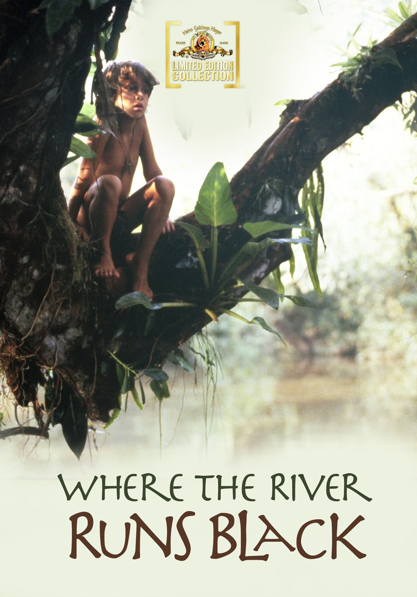 Where the River Runs Black cover art
