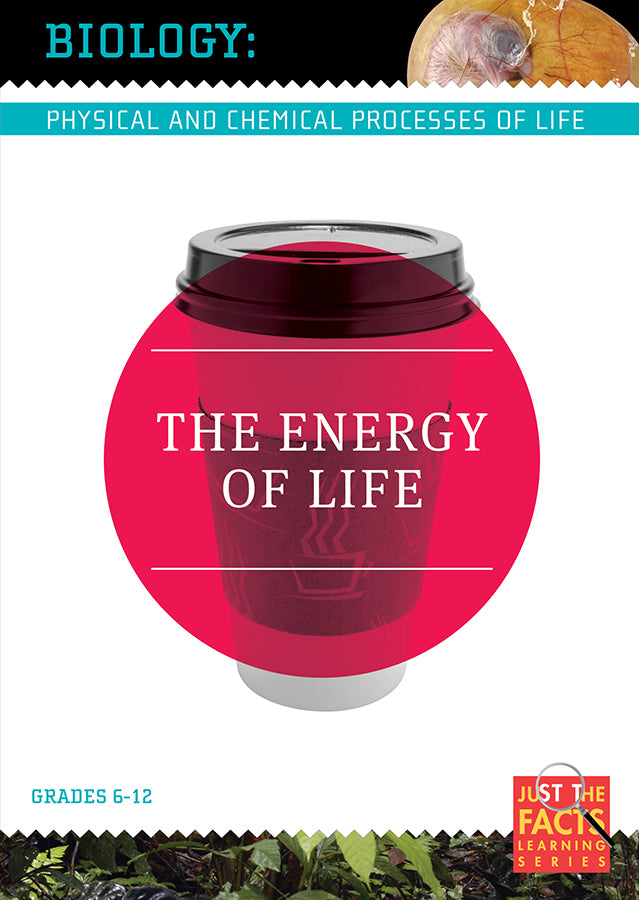 Biology Basics: The Energy of Life cover art