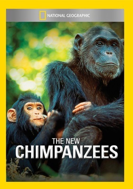 New Chimpanzees cover art