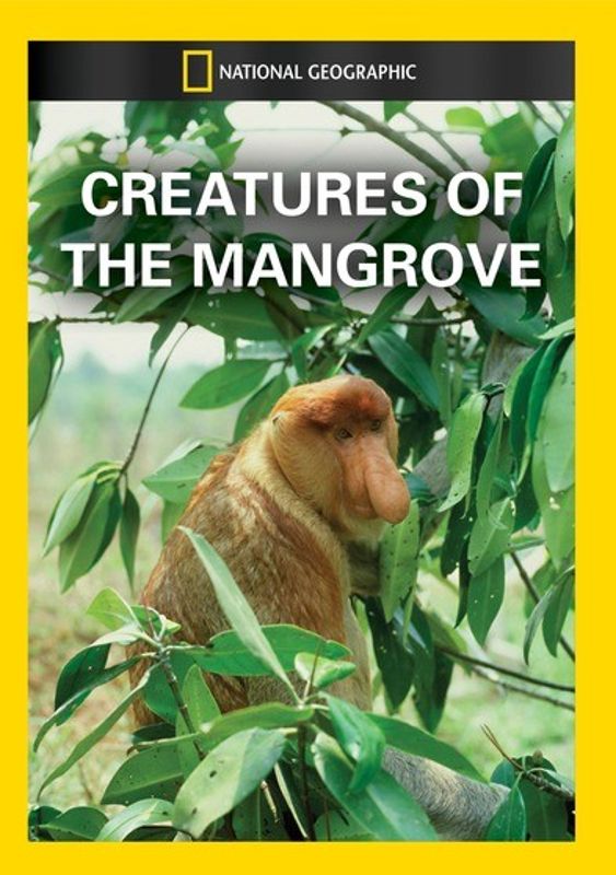National Geographic: Creatures of the Mangrove cover art