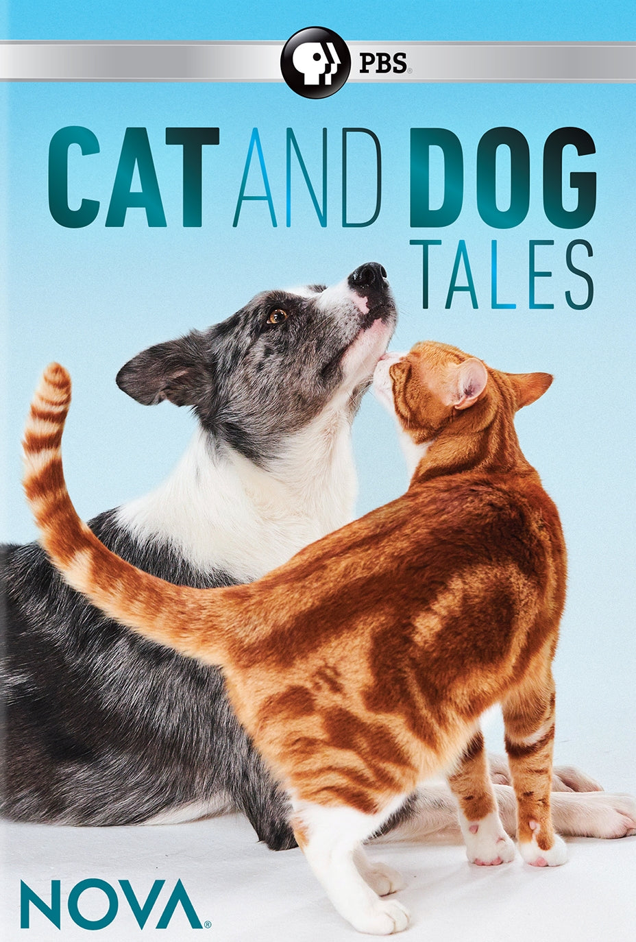 NOVA: Cat and Dog Tales cover art