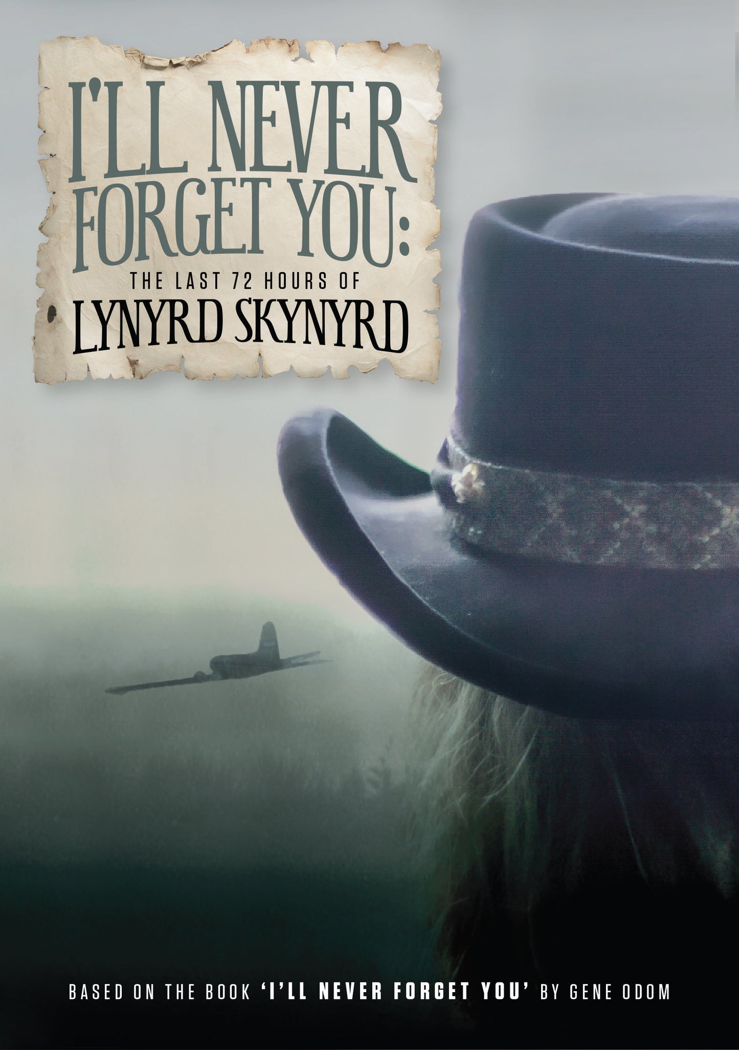 I'll Never Forget You: The Last 72 Hours of Lynyrd Skynyrd [Video] cover art