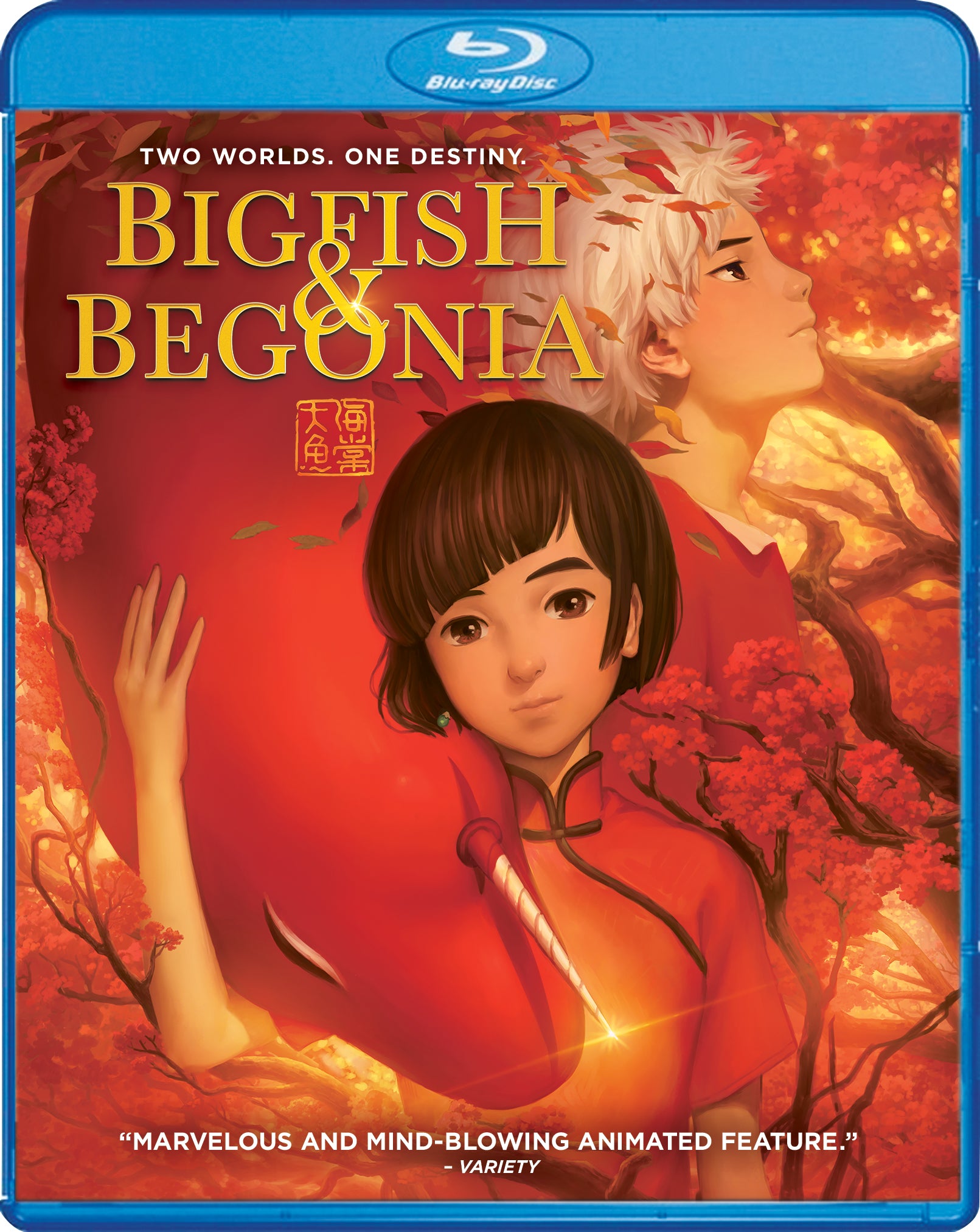 BIG FISH & BEGONIA cover art