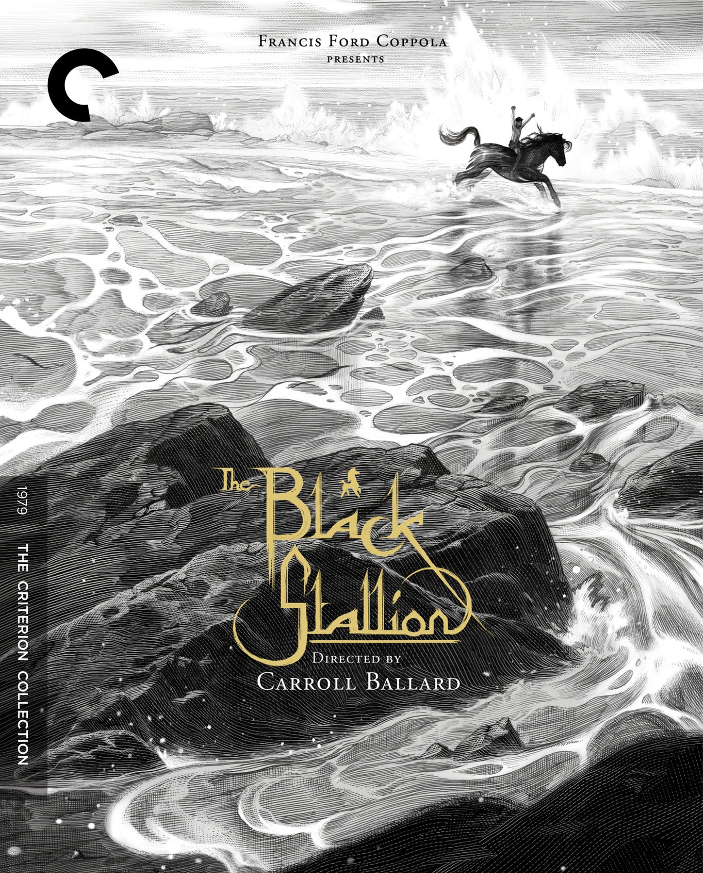 Black Stallion [Criterion Collection] cover art