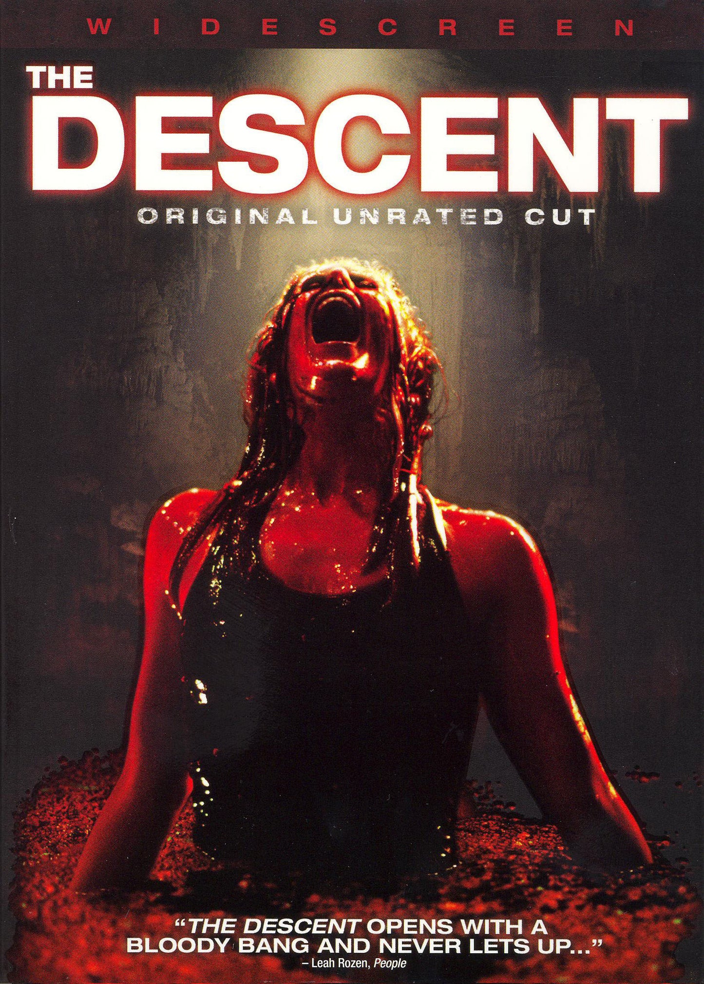Descent [WS] cover art