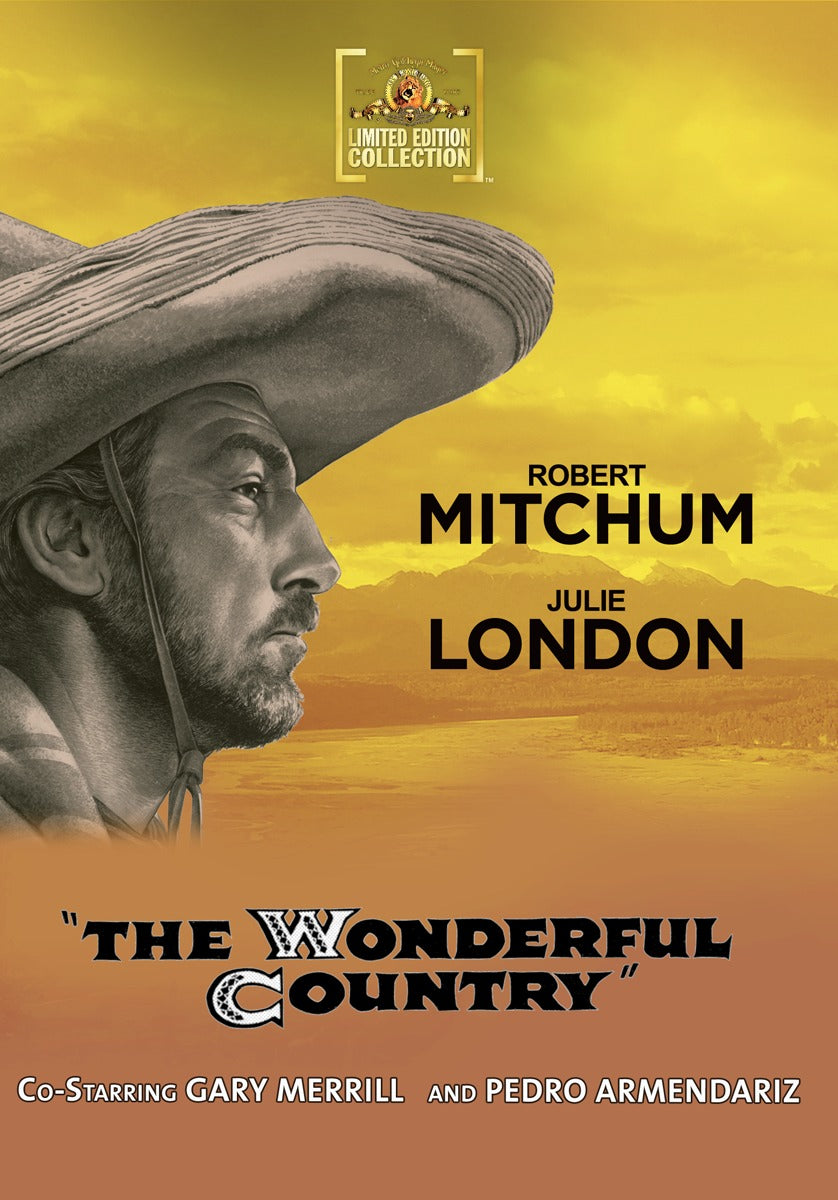 Wonderful Country cover art