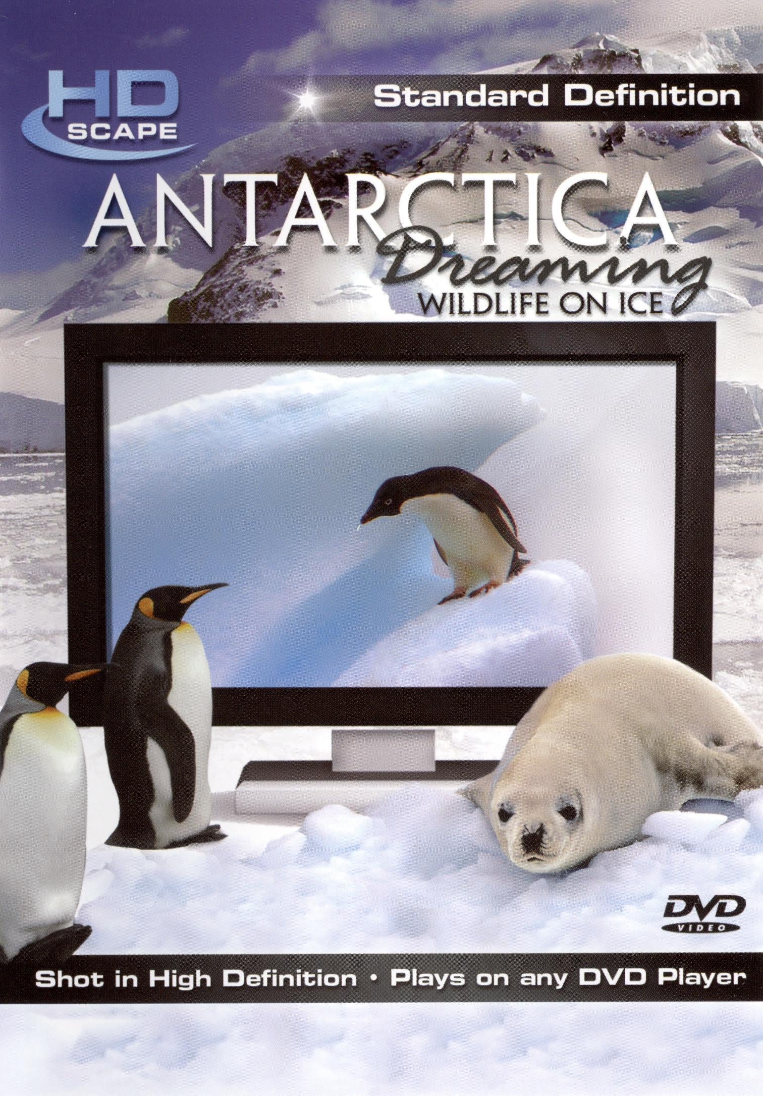 Antarctica Dreaming cover art