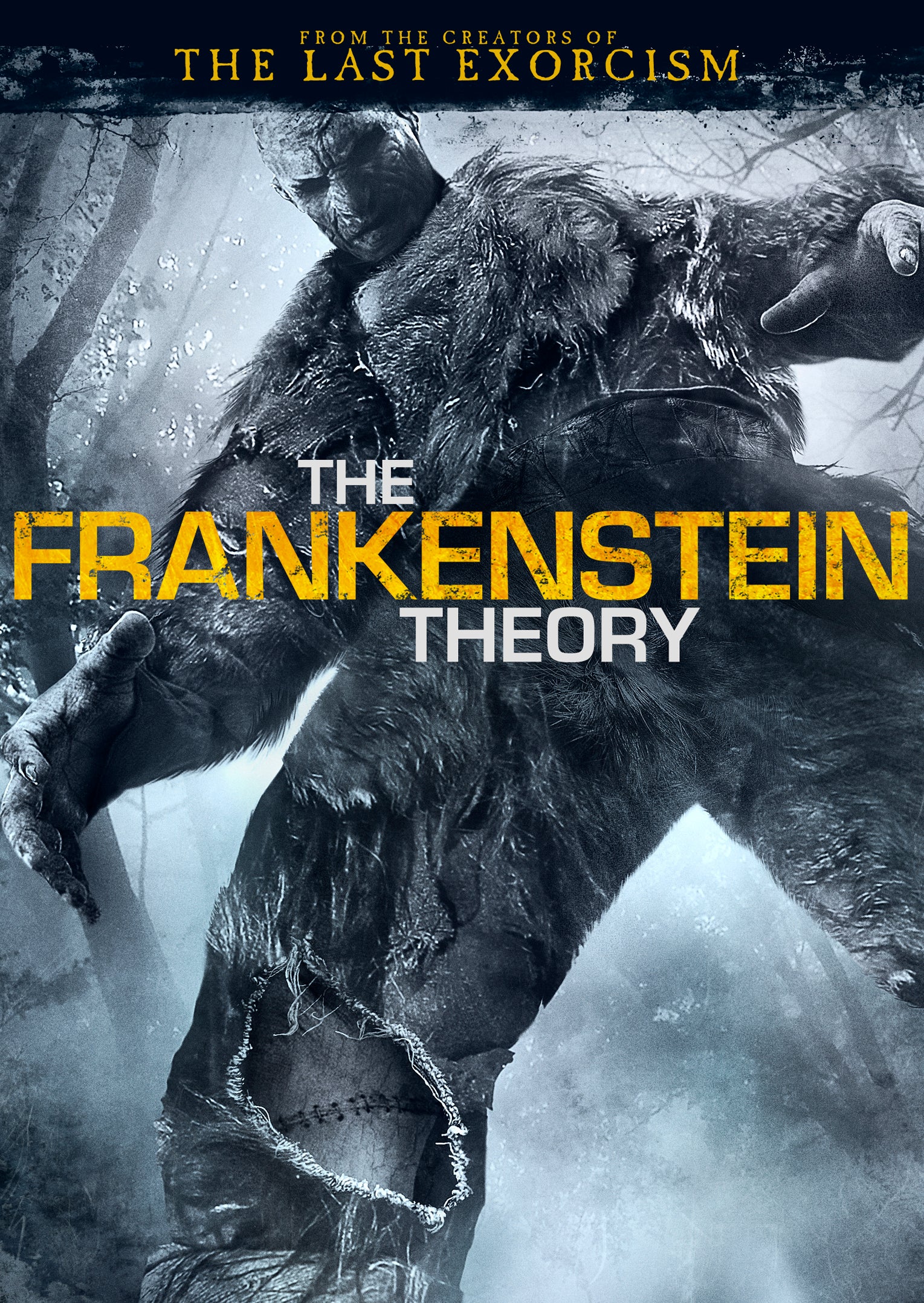 Frankenstein Theory cover art