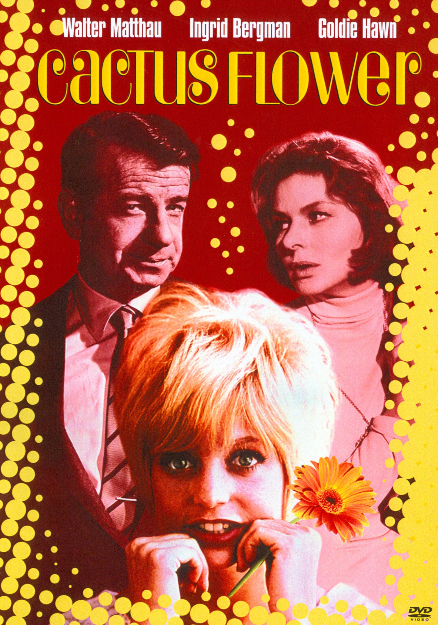 Cactus Flower cover art