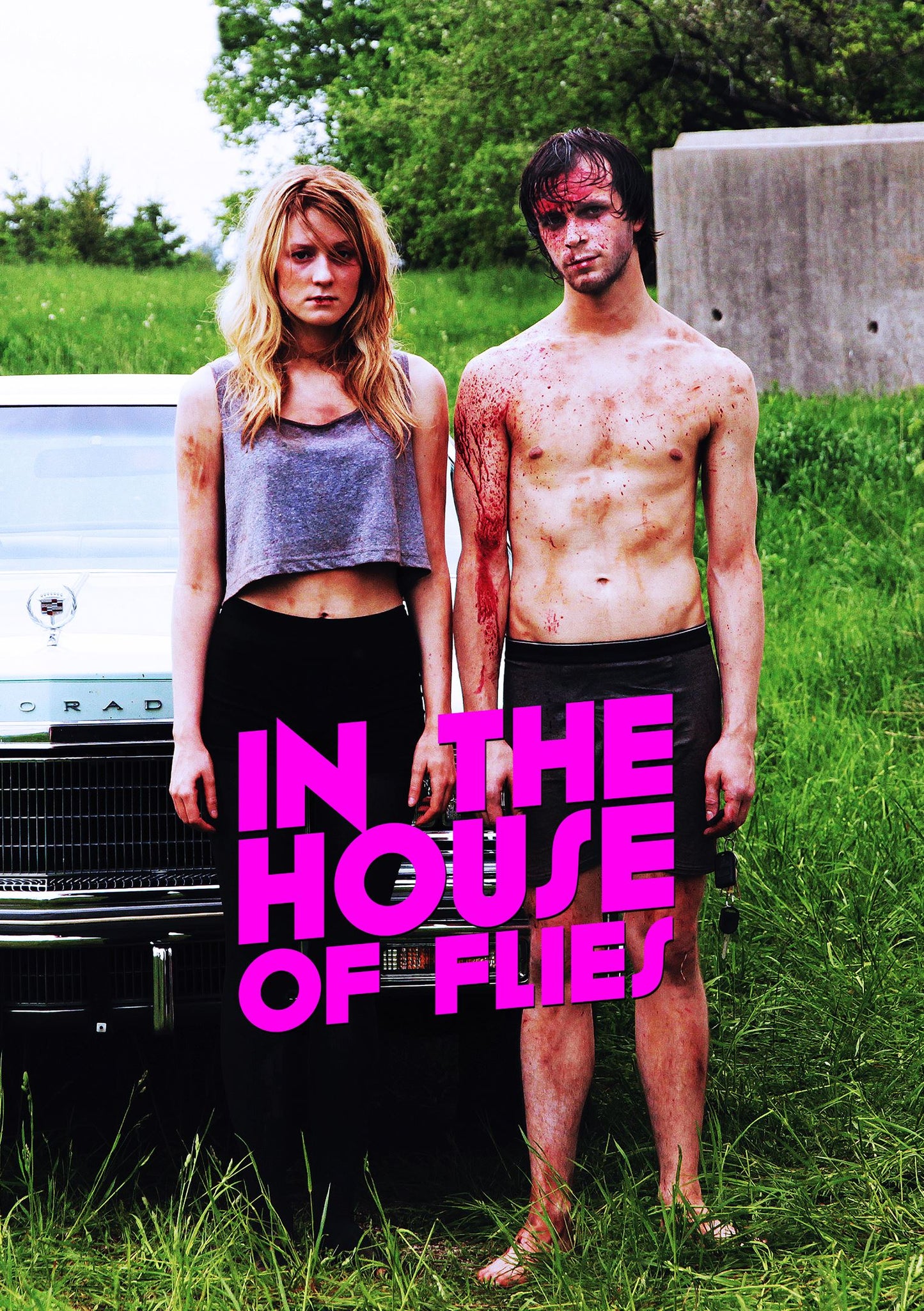 In the House of Flies cover art