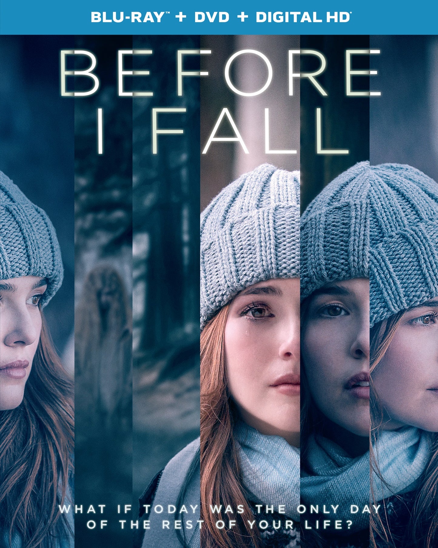 Before I Fall [Includes Digital Copy] [Blu-ray/DVD] [2 Discs] cover art