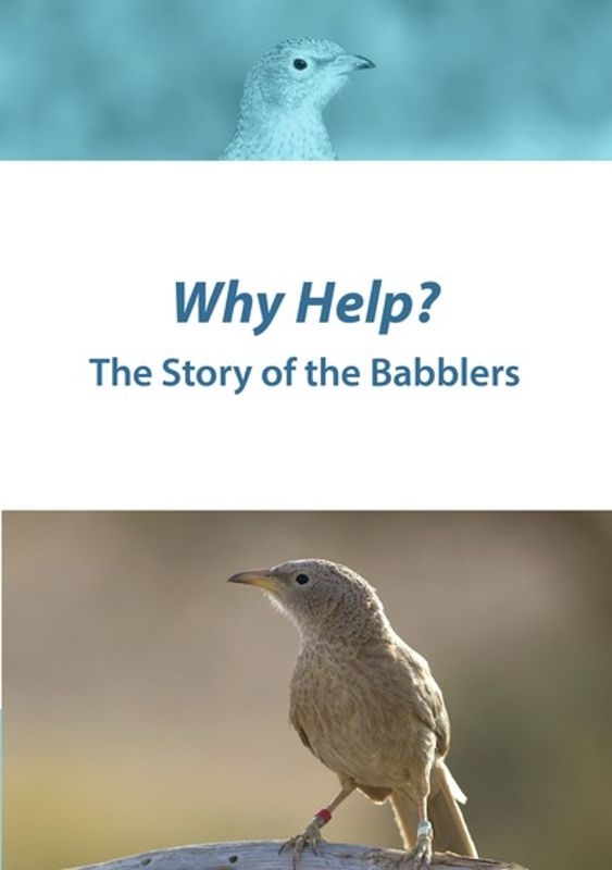 Why Help? The Story of the Babblers cover art
