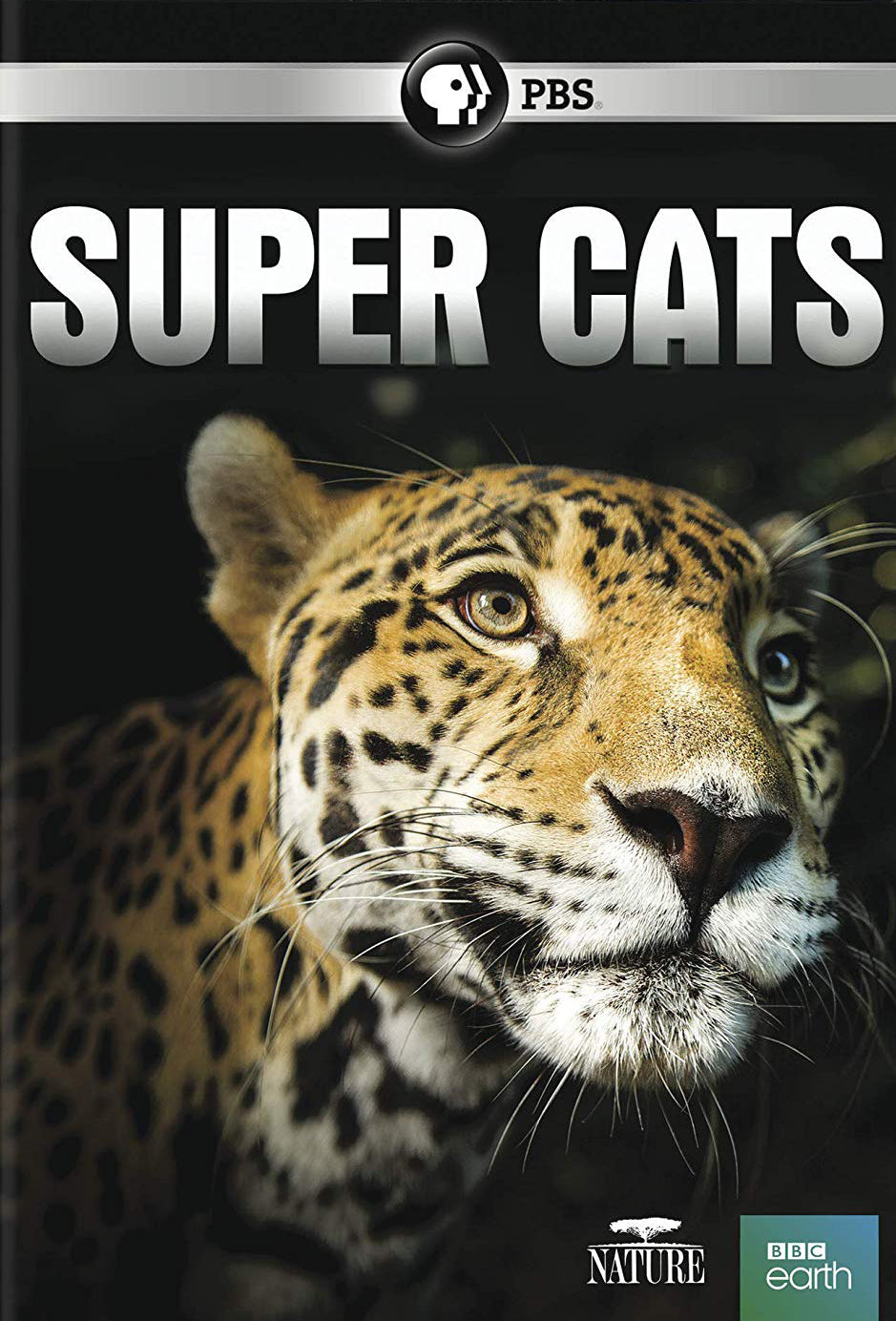 Nature: Super Cats cover art