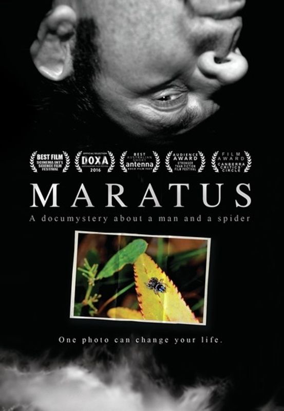 Maratus cover art