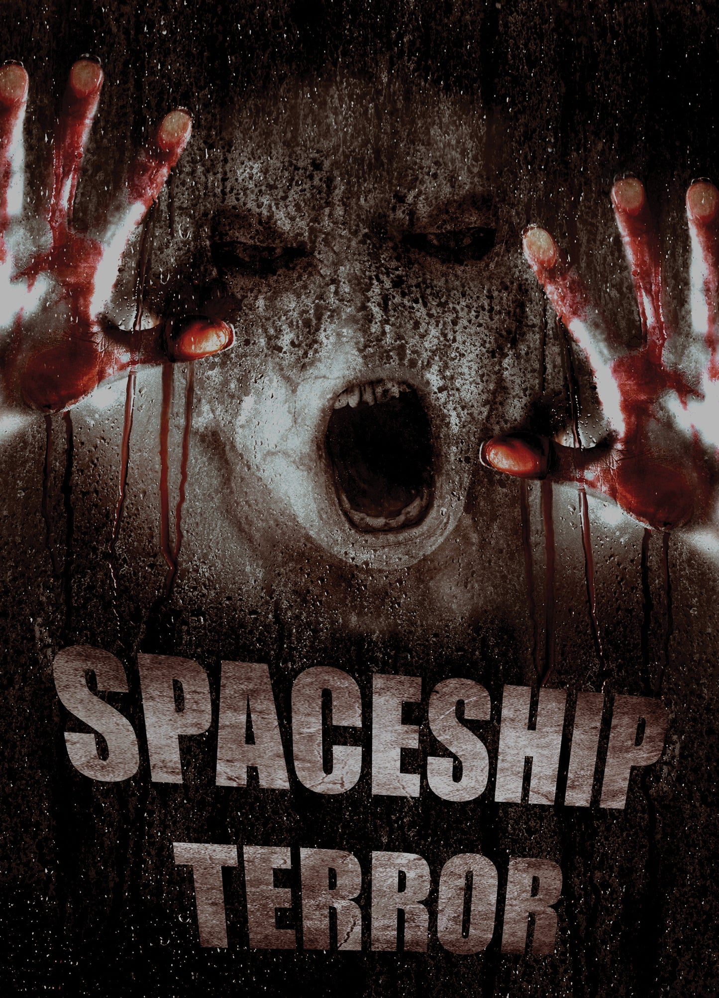 Spaceship Terror cover art