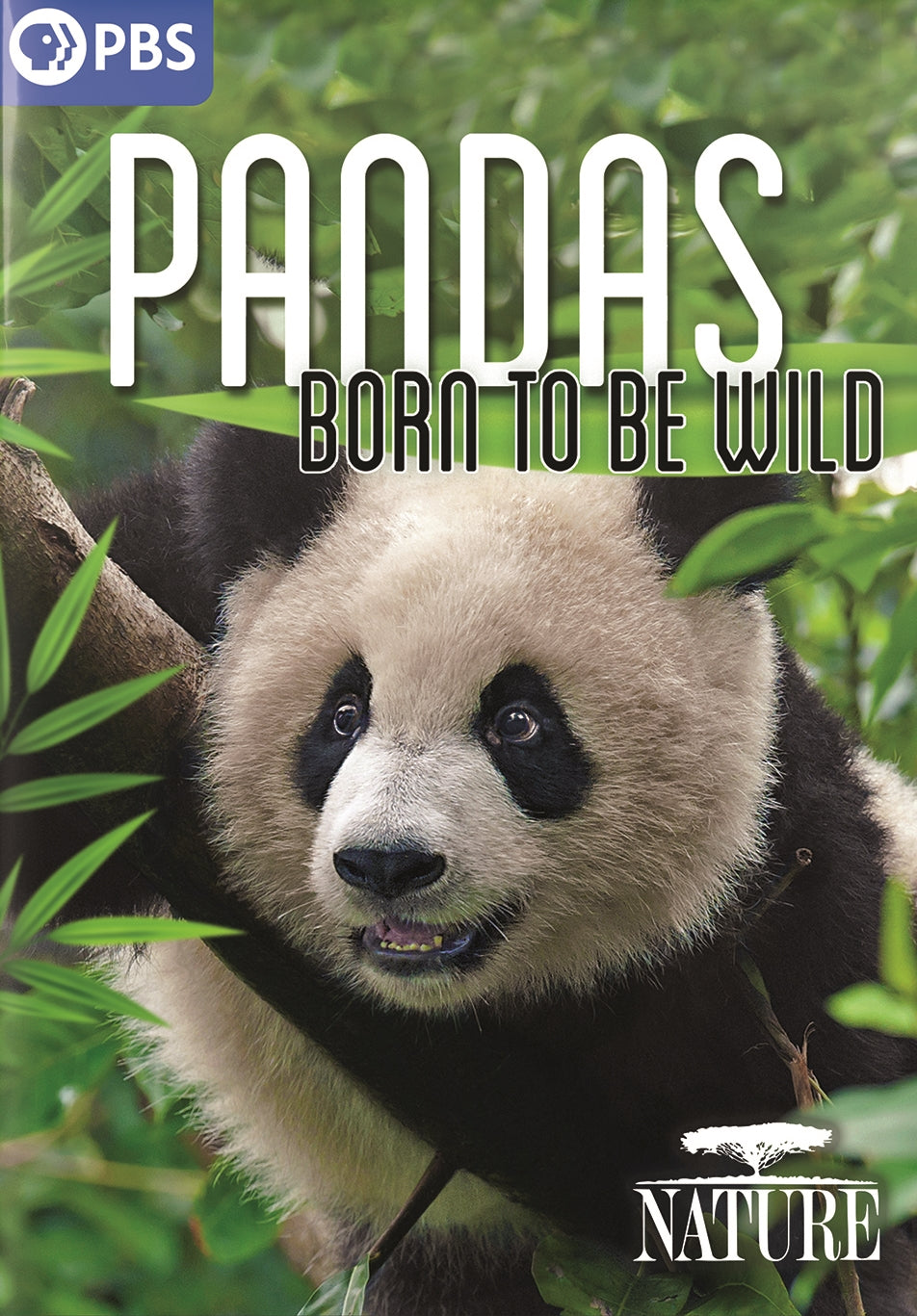 Nature: Pandas - Born to Be Wild cover art