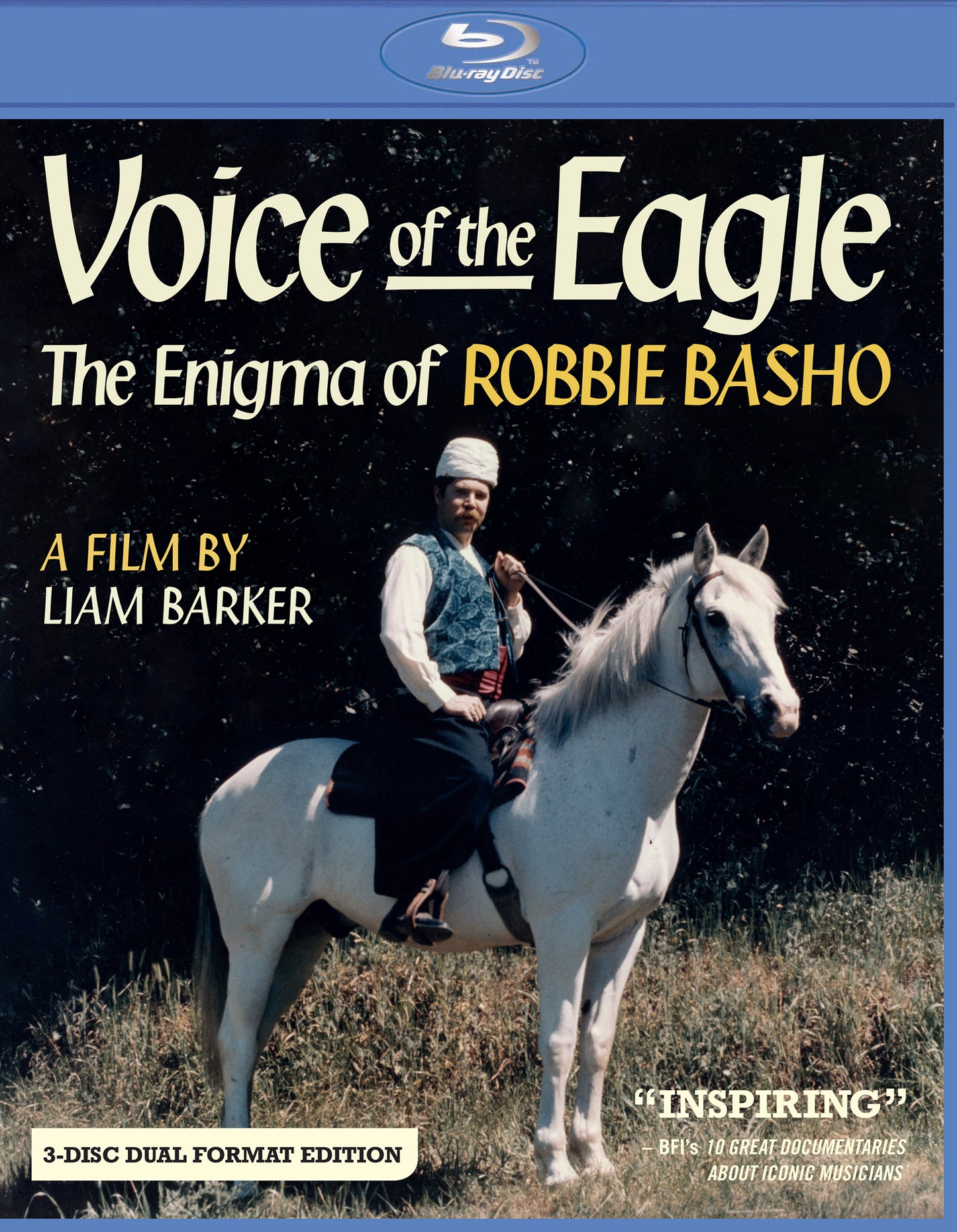 Voice of the Eagle: The Enigma of Robbie Basho [Video] cover art