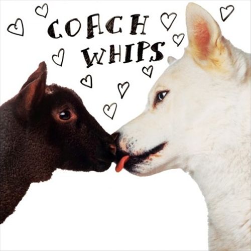 Bangers Vs. Fuckers cover art