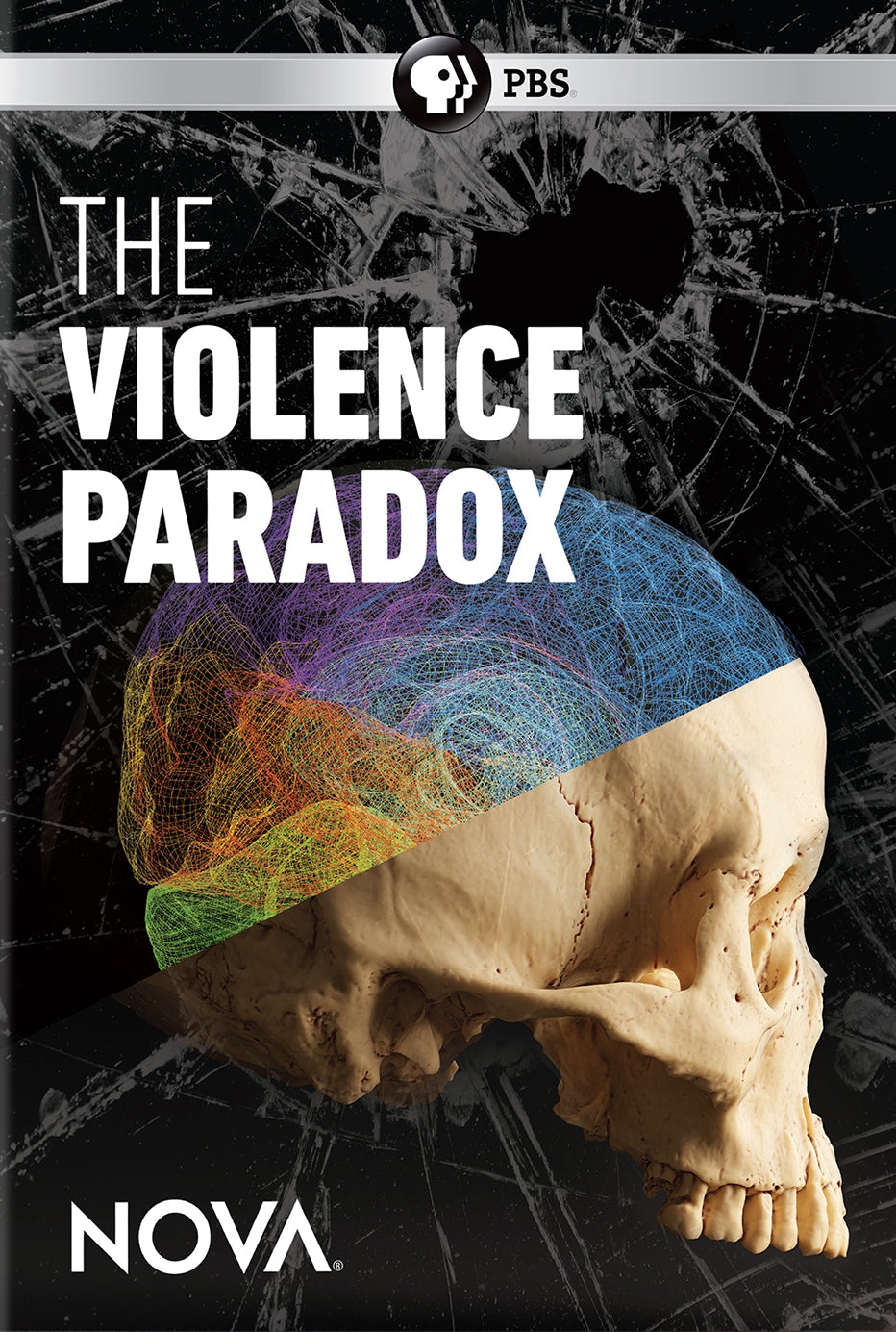 NOVA: The Violence Paradox cover art