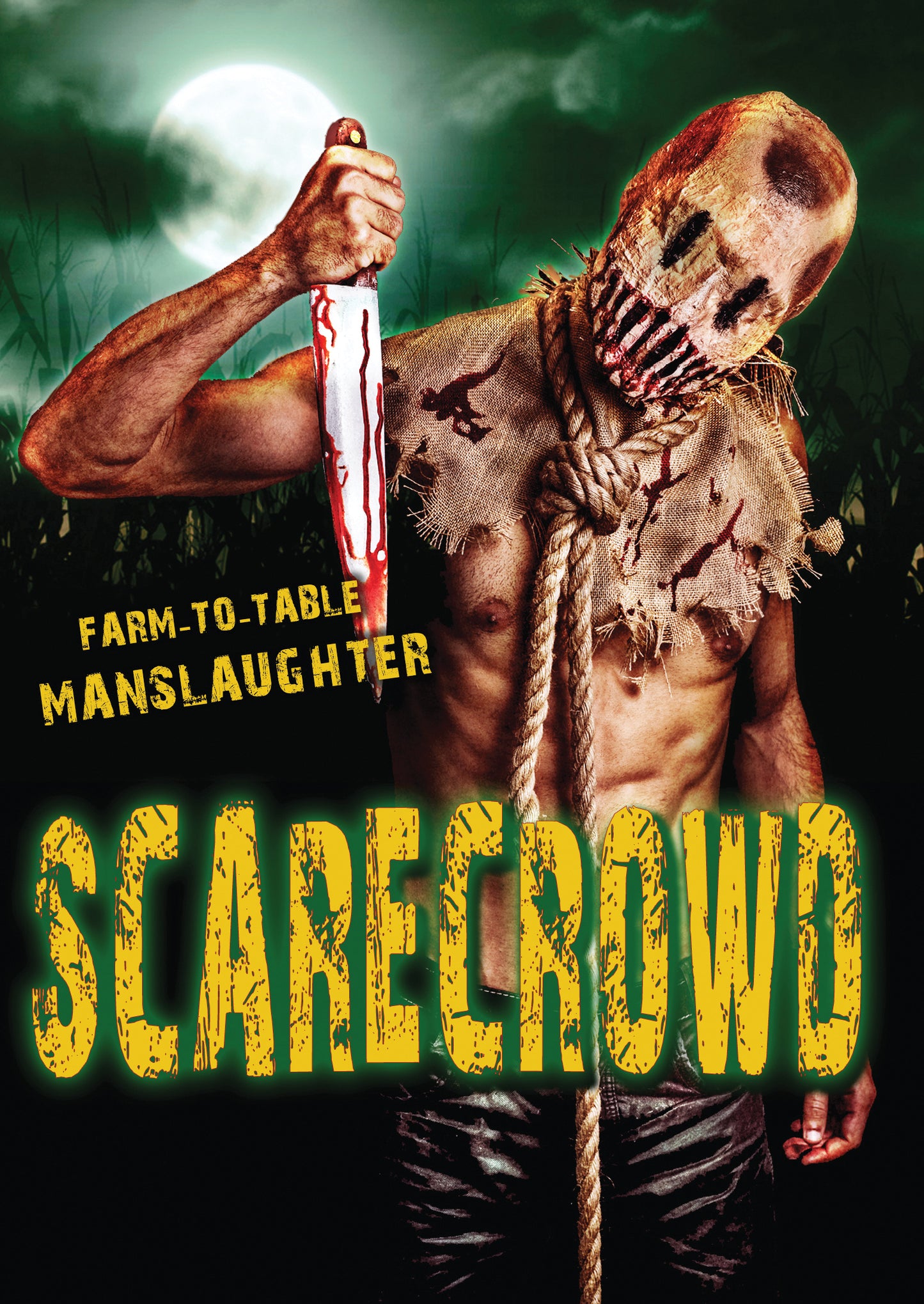 Scarecrowd cover art