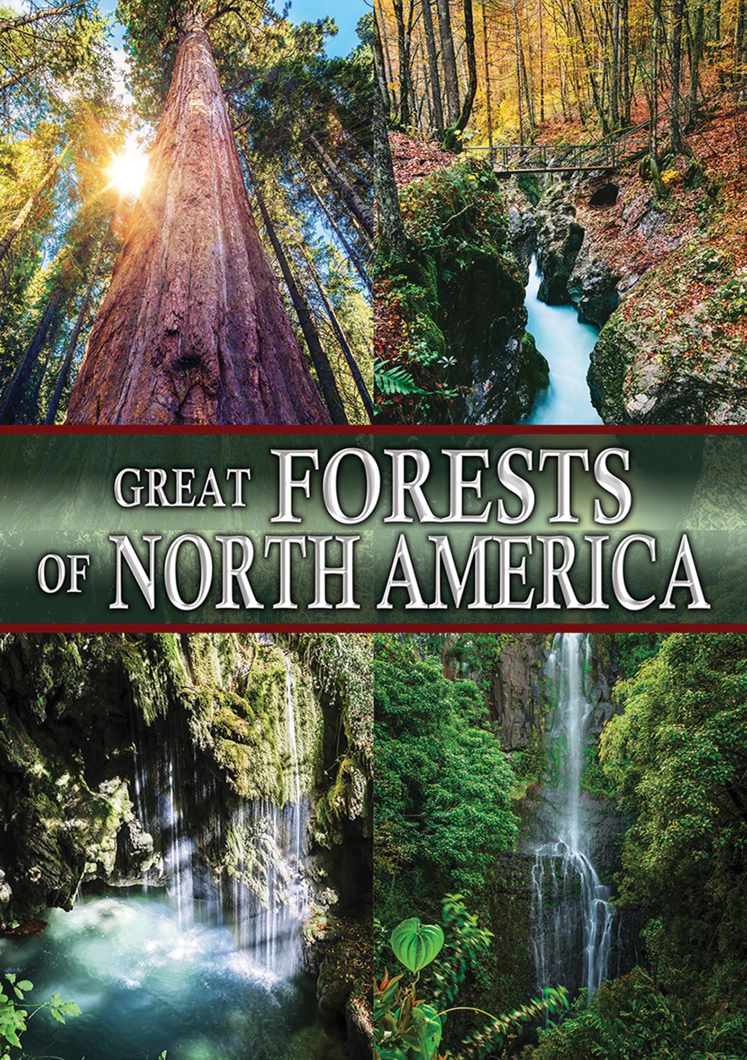 Great Forests of North America cover art