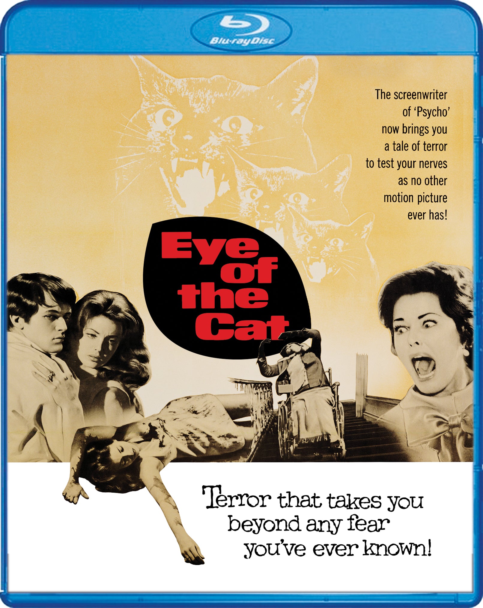 Eye of the Cat [Blu-ray] cover art