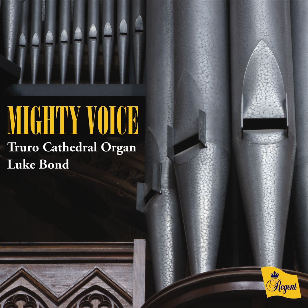 Mighty Voice cover art