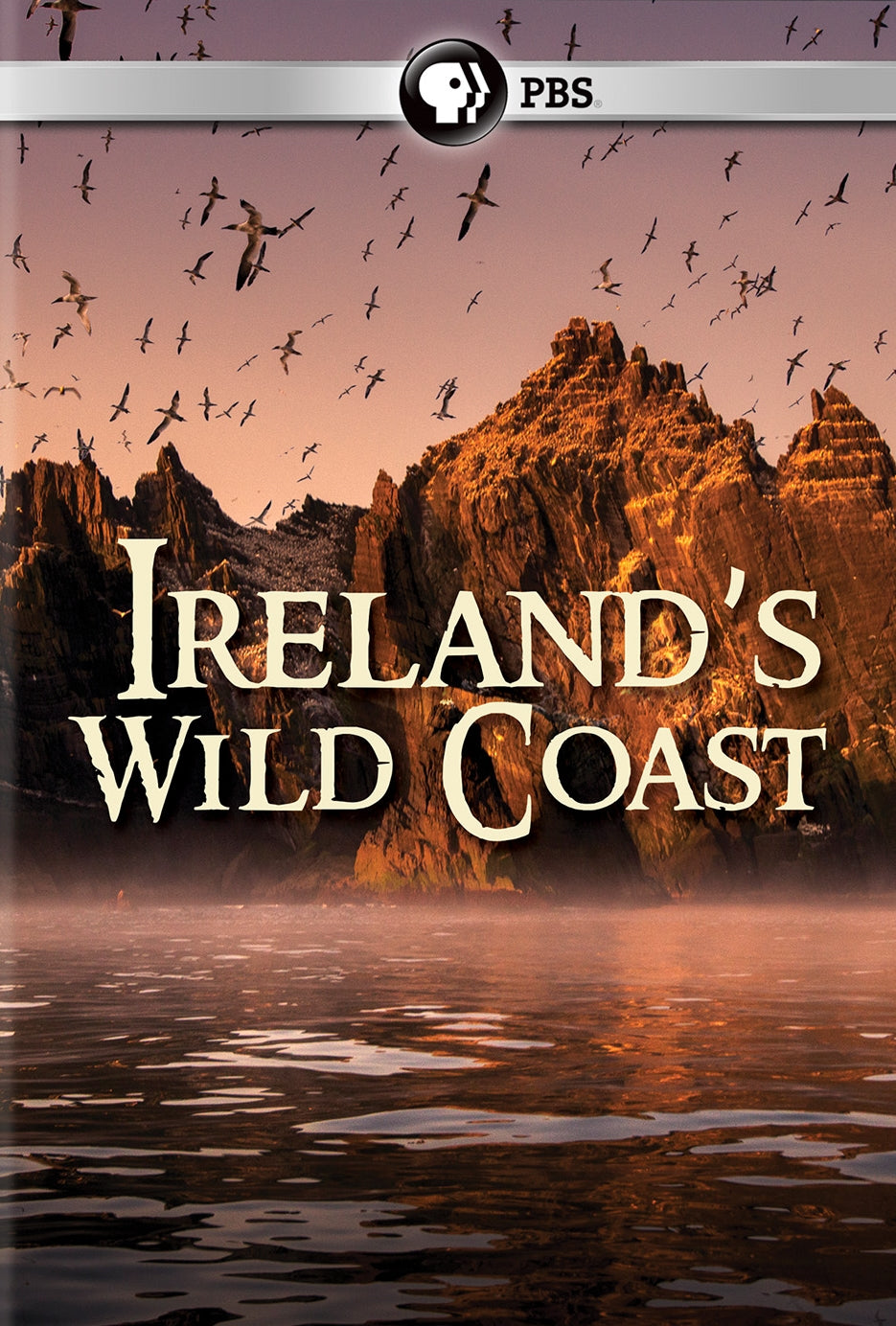 Ireland's Wild Coast cover art