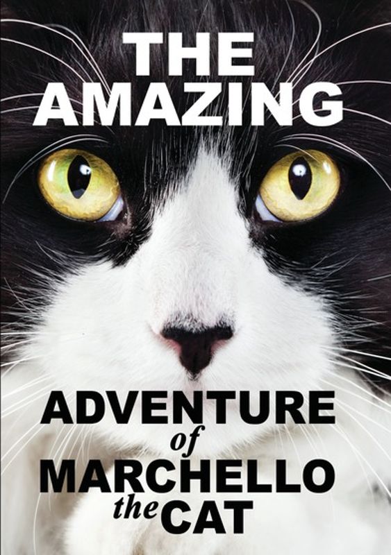 Amazing Adventures of Marchello the Cat cover art