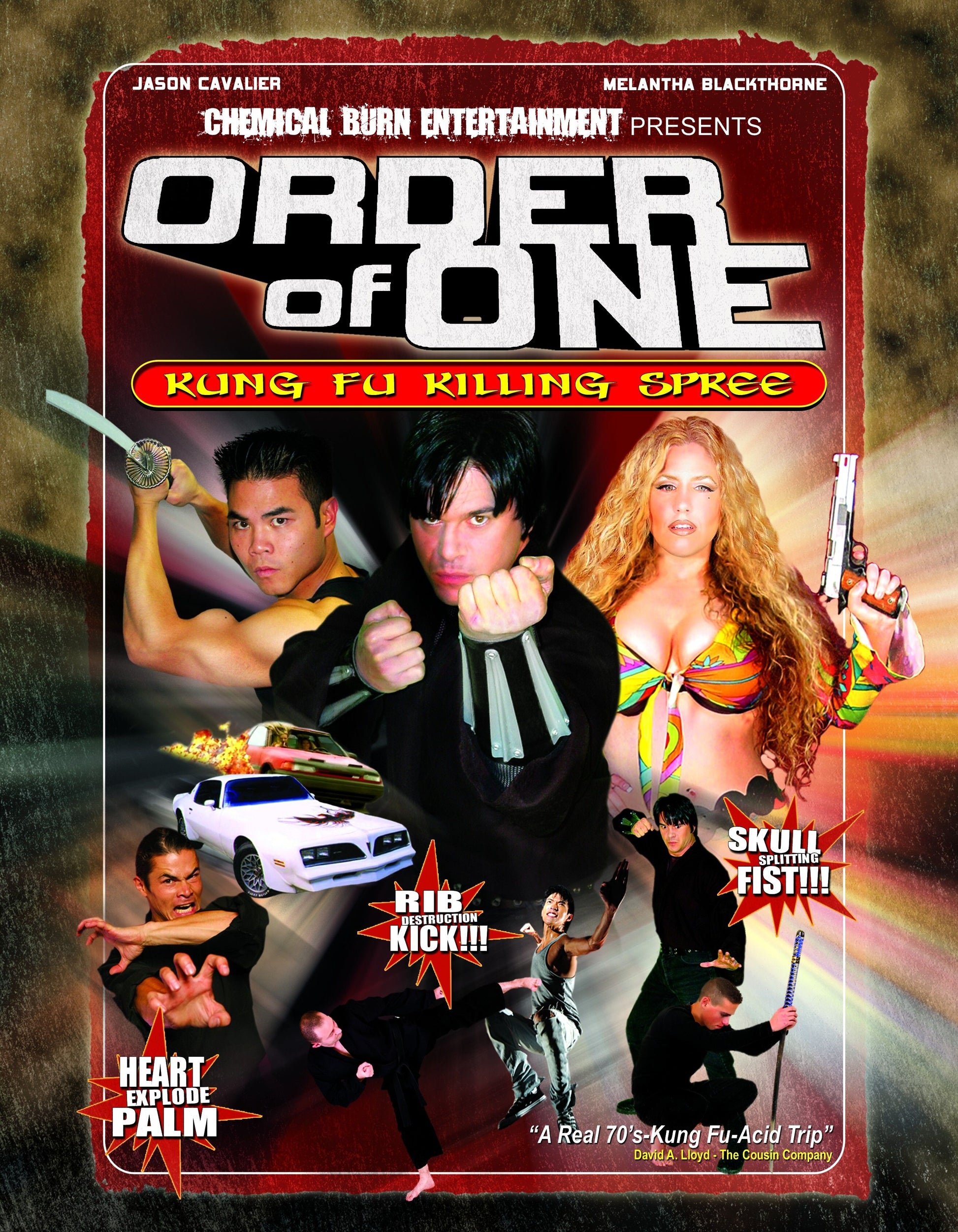Order of One: Kung Fu Killing Spree cover art