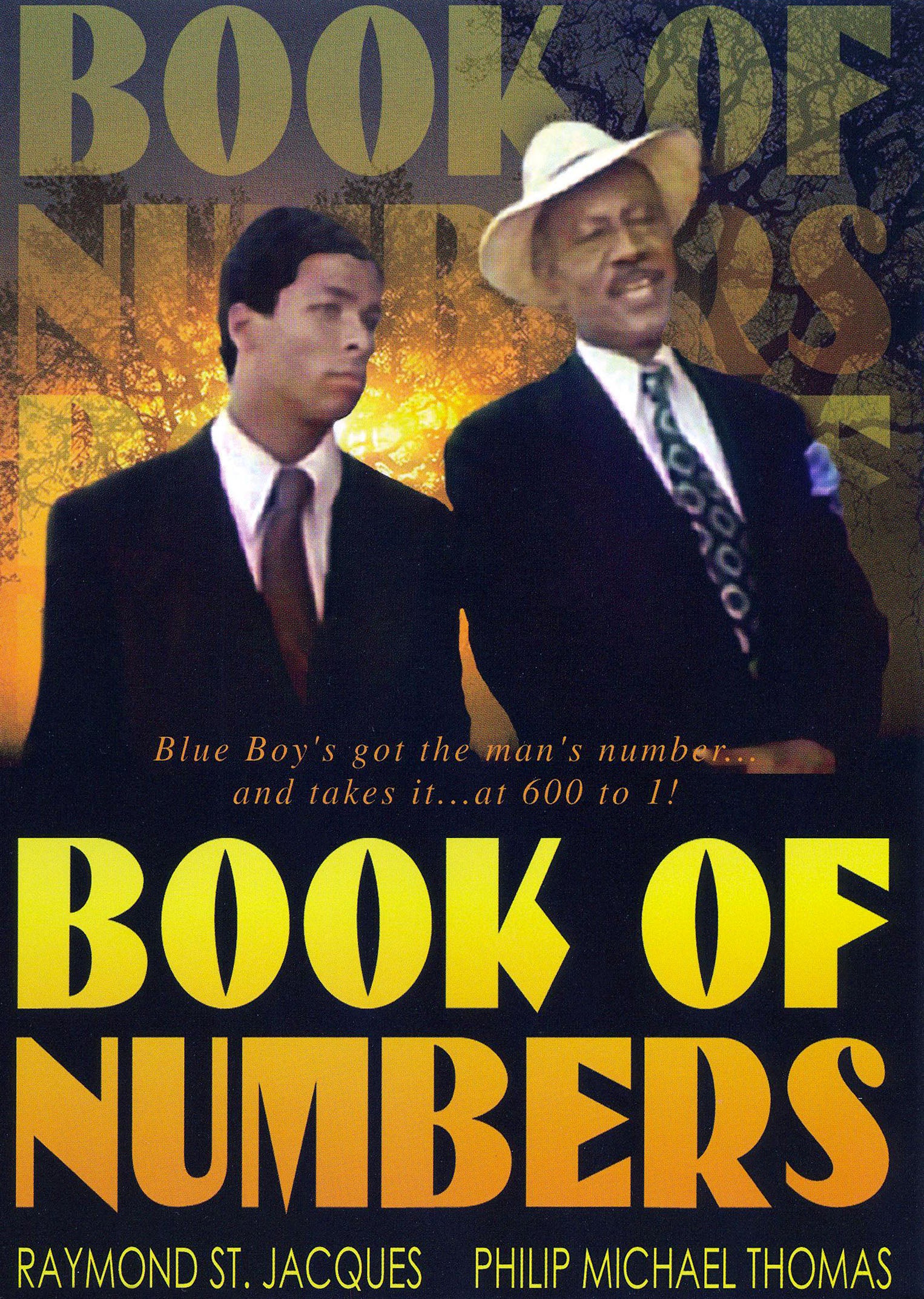 Book of Numbers cover art